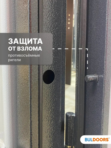 BULDOORS 70 МP MIROR