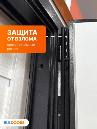 BULDOORS 100 MP HORIZON