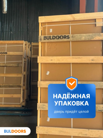 BULDOORS 100 MP VERTICAL