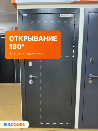 BULDOORS 100 MP HORIZON